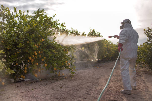 Best Best Pest Control Companies  in Bargaintown, NJ