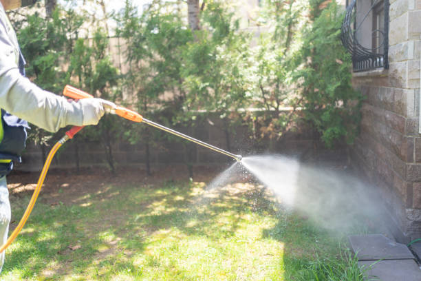 Flea Control Services in Bargaintown, NJ