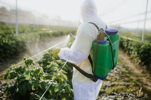 Best Mosquito Control Services  in Bargaintown, NJ